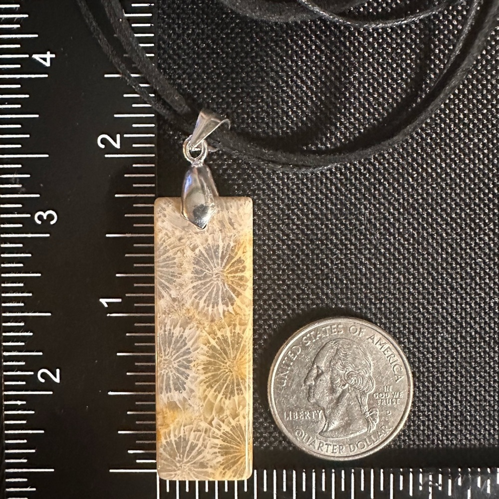 Coral Fossil Thin Rectangle Pendant Necklace on Black Rope - Picture 14 of 16